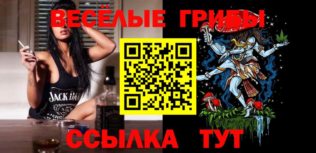Псилоцибиновые грибы мицелий Лесосибирск